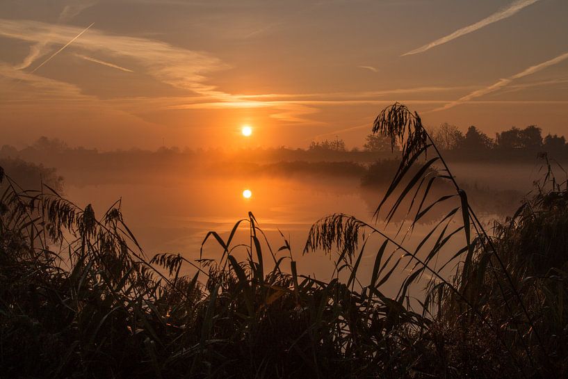 Gouden zonsopgang in de uiterwaard van de Lek bij Culemborg van Jonathan Vandevoorde