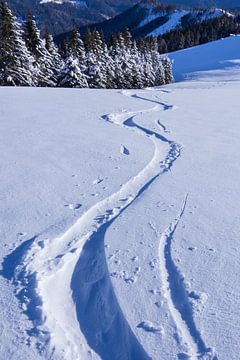 Skisporen in poedersneeuw van Photofex