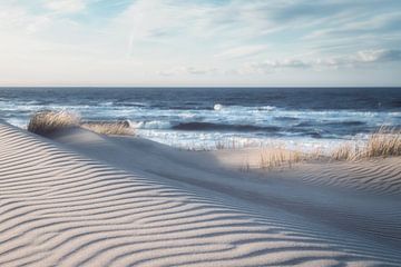 Winter dunes on the Belgian coast