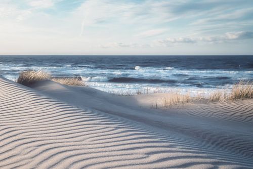Winterse duinen aan de Belgische kust