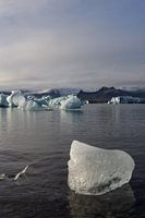 Jokulsarlon Lagoon