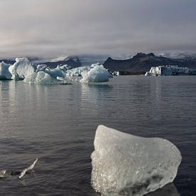 Jokulsarlon Lagune van Joy of Light Photography