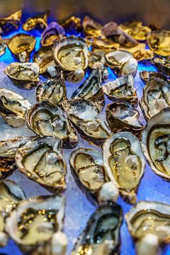 Oesters van Joost Potma