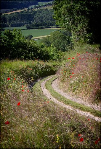 The depth in by Judith Reinders-Peters