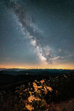 Melkweg en sterrenhemel boven de Allgäuer Alpen vanaf Hochgrat van Leo Schindzielorz