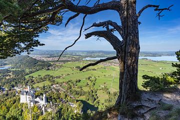 Kasteel Neuschwanstein vanaf de klim naar de Tegelberg van Walter G. Allgöwer