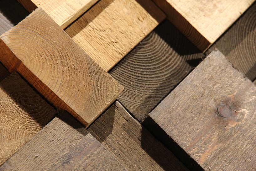 Kops hout  by Fred Vester