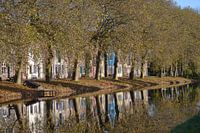 Edam
