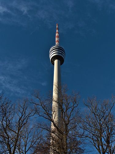De beroemde televisietoren van Stuttgart voor kale bomen in de winter