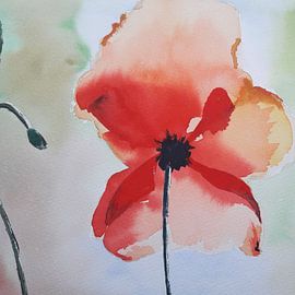 Blume von Jose Leeuwis