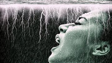 Angst en wanhoop van Frank Heinz