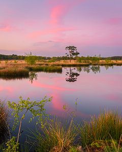 Sonnenuntergang bei Holtveen im Nationalpark Dwingelderveld