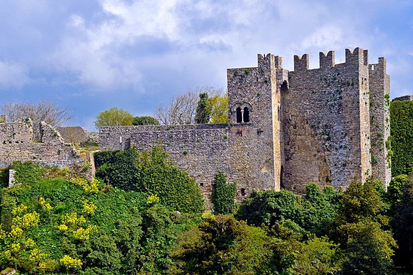 Mittelalterliche Burg-Ruine in Erice auf der Insel Sizilien von Silva Wischeropp