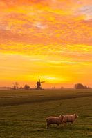 De weteringenmolen voor en na zonsopkomst