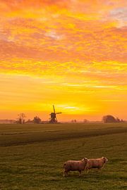 The Weteringen mill before and after sunrise by Rob Saly