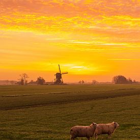 De weteringenmolen voor en na zonsopkomst van Rob Saly