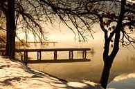 Winterlandschap aan het meer van Frank Herrmann thumbnail