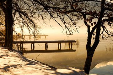 Winter landscape at the lake