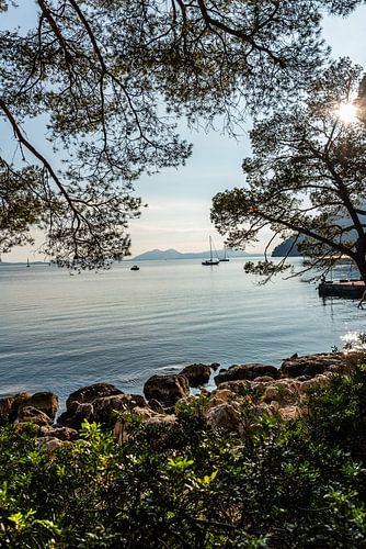 Golden Hour at Platja Formentor, Majorca