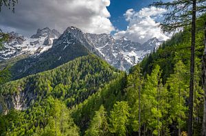 Blick auf das Grintovec-Gebirge von Goli vrh aus