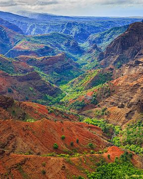 Waimea Canyon - Kauai, Hawaï van Henk Meijer Photography