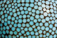Mozaïek van blauwige ronde stenen. van Don Fonzarelli thumbnail