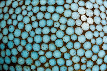 Mozaïek van blauwige ronde stenen.