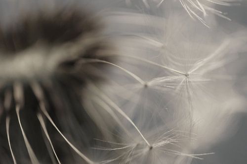 Inspirant sur Carla Mesken-Dijkhoff