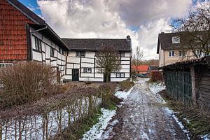 Beertsenhoven
