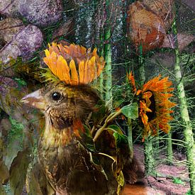 Little bird, superstar by A perfect day studio