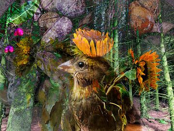 Kleine vogel, grote ster van A perfect day studio