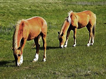 Paarden die samen grazen van Dorothy Berry-Lound