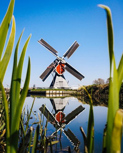 Typische holländische Windmühle in der Nähe von Utrecht von Ruben Philipse