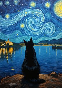 Schwarze Katze schaut in den Himmel 5