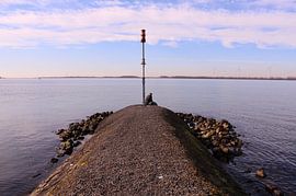 Watching the river by Deborah S