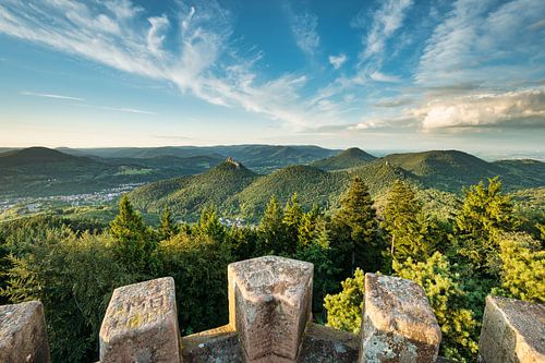 On the Rehberg Tower in the Palatinate Forest