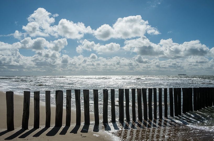 Zon en schaduw op het strand van Mario Lere