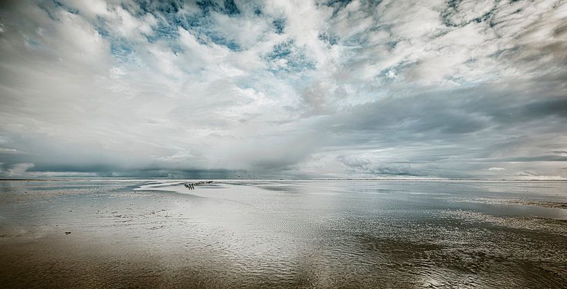 Das magische Wattenmeer von Nanouk el Gamal - Wijchers (Photonook)