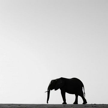 Silhouet van olifant in zwart-wit van Poster Art Shop