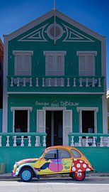 Duck at Blue in Colour by SeruRon Photo's