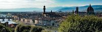 Skyline Florence
