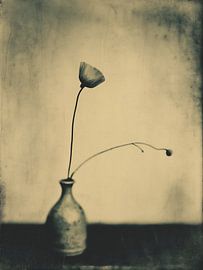 Fleur dans un vase n° 6 sur Studio Silver & Sepia