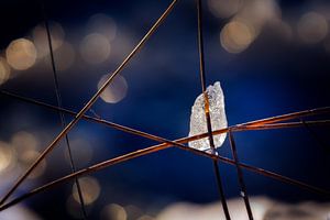 Captured in Straws