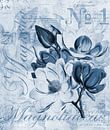 Blue Magnolia by Andrea Haase thumbnail