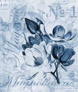 blauwe magnolia van Andrea Haase