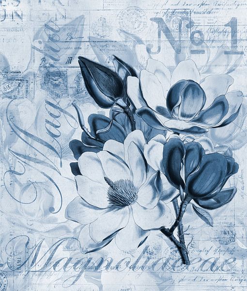 magnolia bleu par Andrea Haase