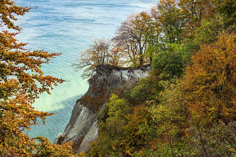 Ostseeküste auf der Insel Moen in Dänemark von Rico Ködder