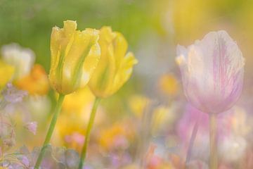 Kleurrijke tulpen kunst van Andy Luberti