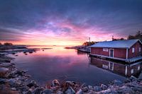 Baie de Flatvarp 2024 (2)