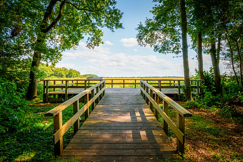 Beleefpad Smeerling Ellingserhuizerveld Onstwedde